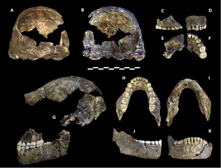 Homo naledin jäänteitä. Kuva: <span class="photographer">Berger et al</span>