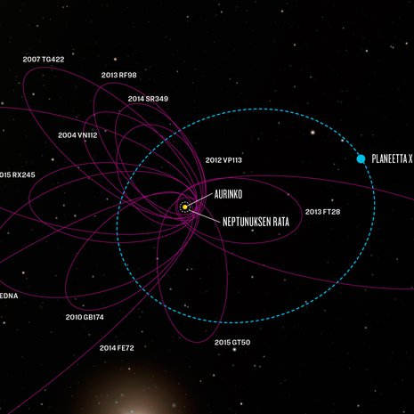 Kuiperin vyöhykkeen 13 tutkittua kappaletta kurvaavat kuin samaa rataa Auringon lähellä. Kumman kimpan voi selittää massiivinen planeetta. Grafiikka: JPL-Caltech/Robert Hurt ja Minor Planet Home Page/Andrew Lowe