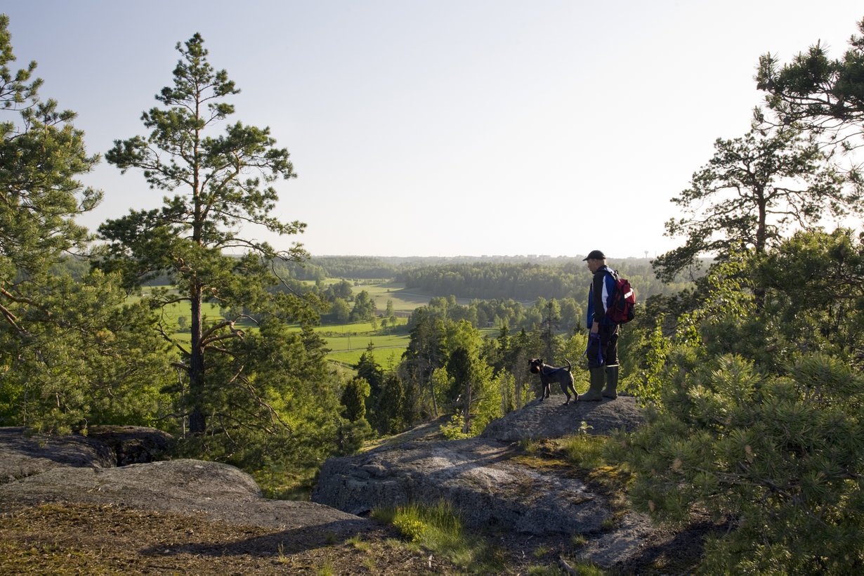 Avara maisema tekee hyvää ihmisen mielelle. Sipoonkorven kansallispuiston Högbergetiltä näkyy Sotungin peltoja. Kuva: Metsähallitus/Markus Sirkka