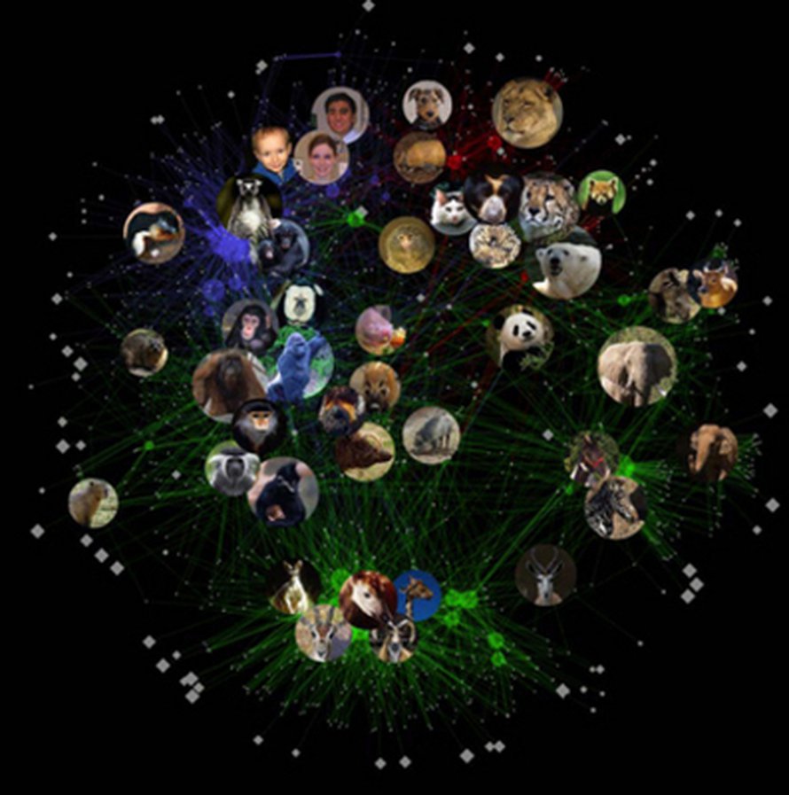 Kuva: <span class="photographer">Science/AAAS</span>