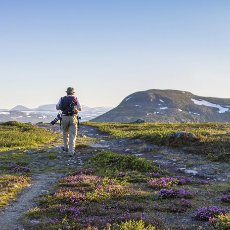 Kilpisjärven kesäyössä vaeltaja näkee tunturien lumilaikut ja polun kivet.