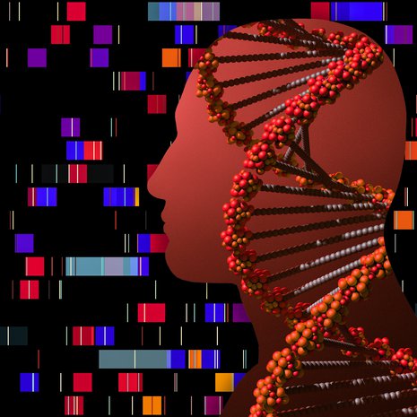 Vaikka dna perityy vanhemmilta, kunkin ykslön perimä on vain pieni näyte sukupuun geeneistä. Kuva: <span class="photographer">Getty Images</span>