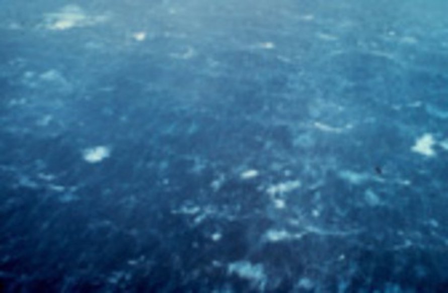 Kuva: <span class="photographer">NOAA</span>