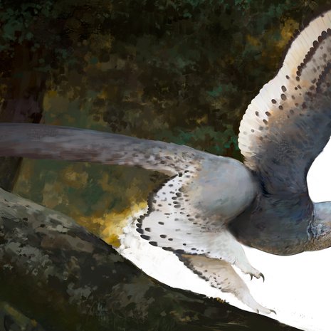Melkein lintu muttei ihan. Anchiornis oli tyypillinen jurakauden lintudinosaurus: sillä oli terävät hampaat ja kynnet, pitkä häntä ja siipisulat kaikissa neljässä raajassa. Kuva: <span class="photographer">Ville Sinkkonen</span>