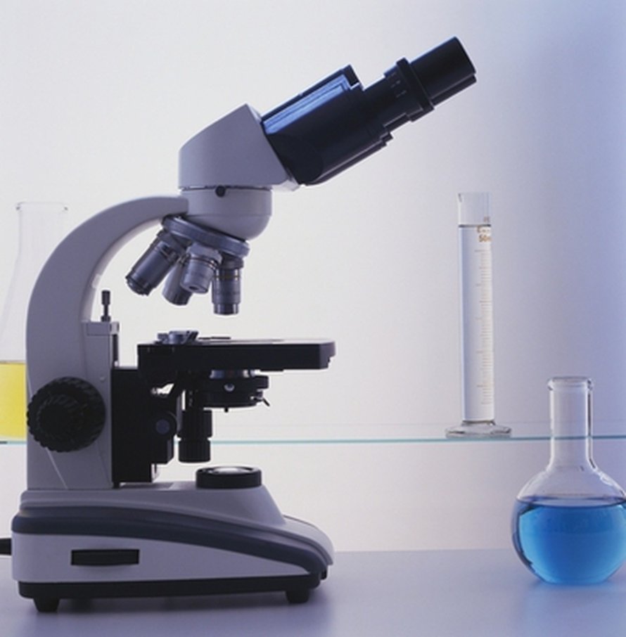 Kuva: <span class="photographer">Corbis RF.</span>