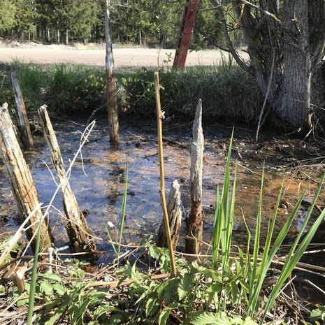 Levänluhdan vesihauta on nykyisin soinen lähde, mutta aiemmin paikalla on voinut olla lampi tai järvi. Kuva: <span class="photographer">Anna Wessman</span>