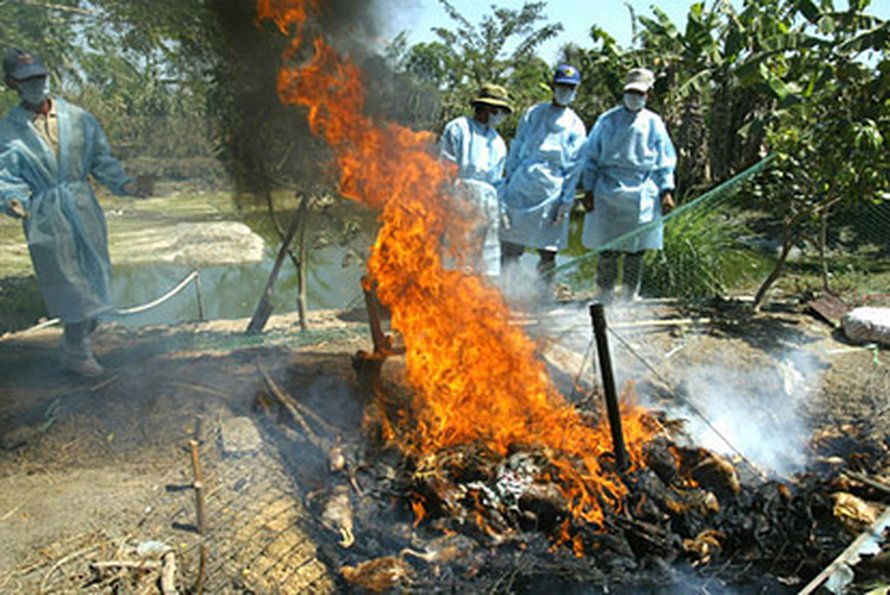 Kuva: <span class="photographer">FAO.</span>
