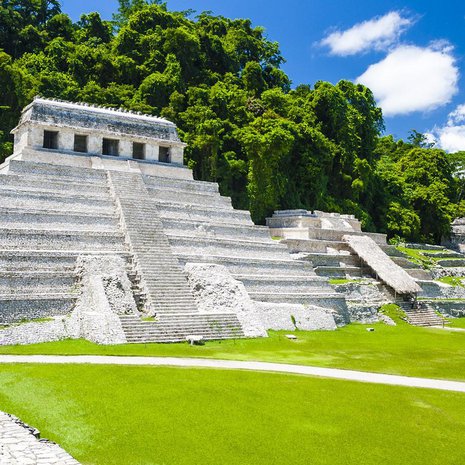 Palenque on yksi parhaiten säilyneitä muinaisia mayakaupunkeja. Se sijaitsee eteläisessä Meksikossa Chiapasin osavaltiossa. Kuva: <span class="photographer">Jan Harenburg/Wikimedia Commons</span>