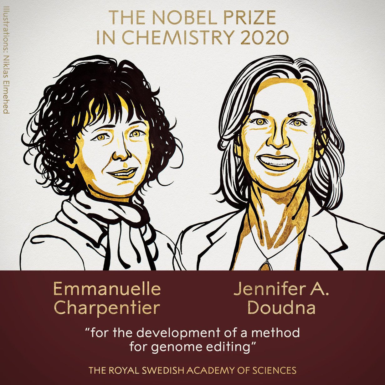 Nobelistit Emmanuelle Charpentier ja Jennifer Doudna kehittivät mullistavan keinon muokata eliöiden perimää. Kuva: Niklas Elmehed / Ruotsin kuninkaallinen tiedeakatemia