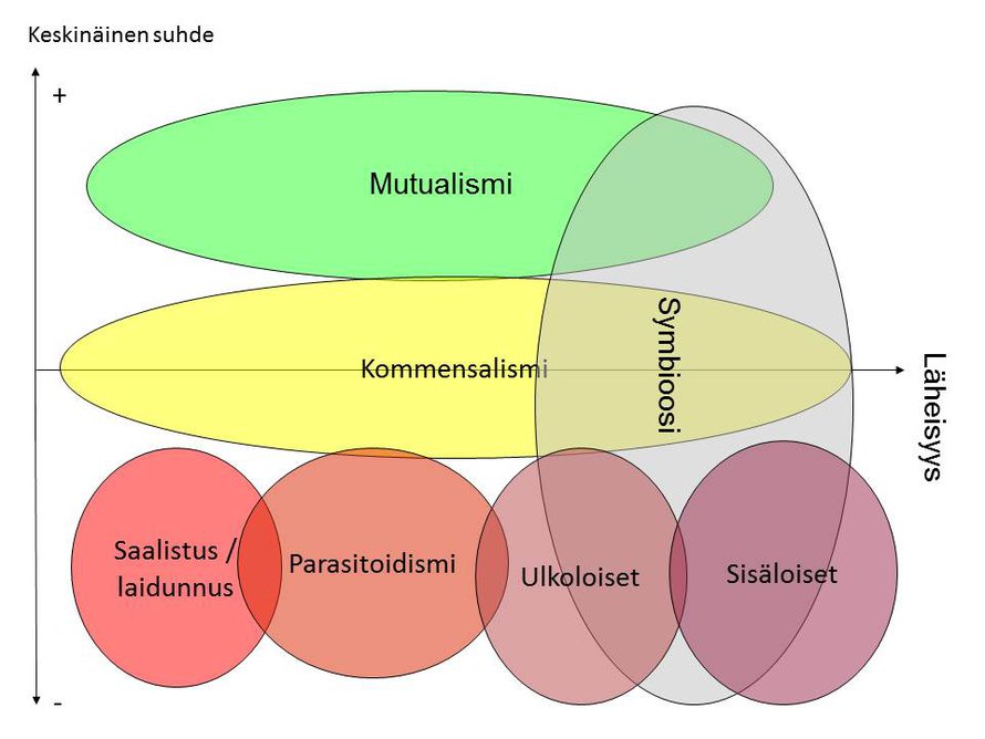 Loisimista voi hahmottaa kuvaajassa jossa vaakasuunnassa kuvataan kahden lajin läheisyyttä ja pystysuunnassa kuvataan lajien keskinäistä hyötyä.
