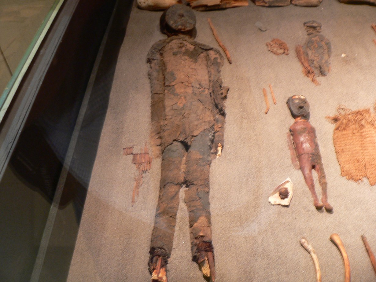 Chinchorron kulttuurin muumioita on kerätty muun muassa Chilen Aricassa sijaitsevaan museoon, mutta niitä on yhä paljon myös Atacaman autiomaassa.
Kuva: Wikimedia Commons