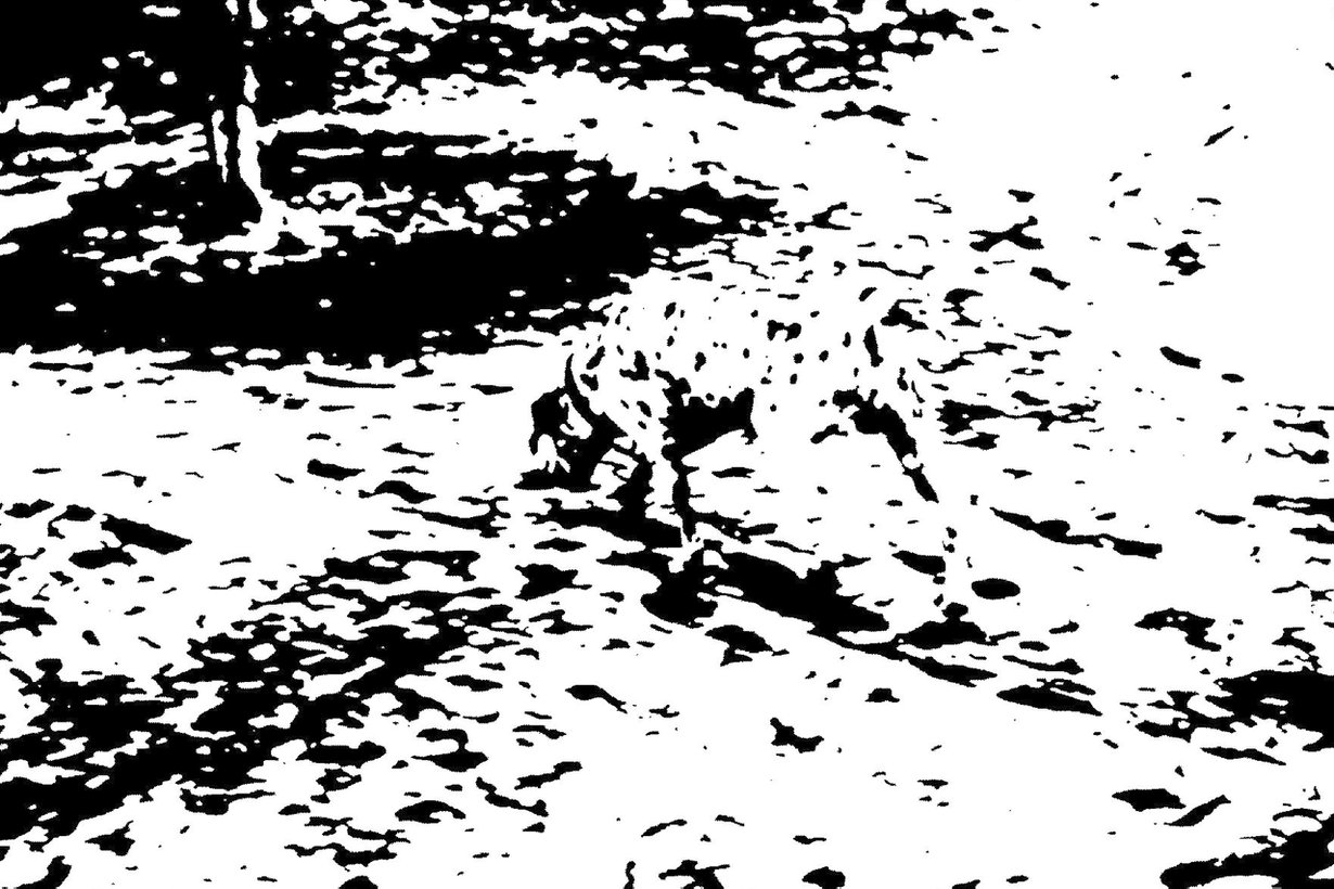 Löydätkö lemmikin? Kuva: Wikimedia Commons