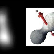 New Horizons otti kuvan Ultima Thulesta kauempaa, kun se vasta lähestyi sitä. Oikealla mahdollinen malli Ultima thulen muodosta. Kuva: <span class="photographer">Nasa</span>