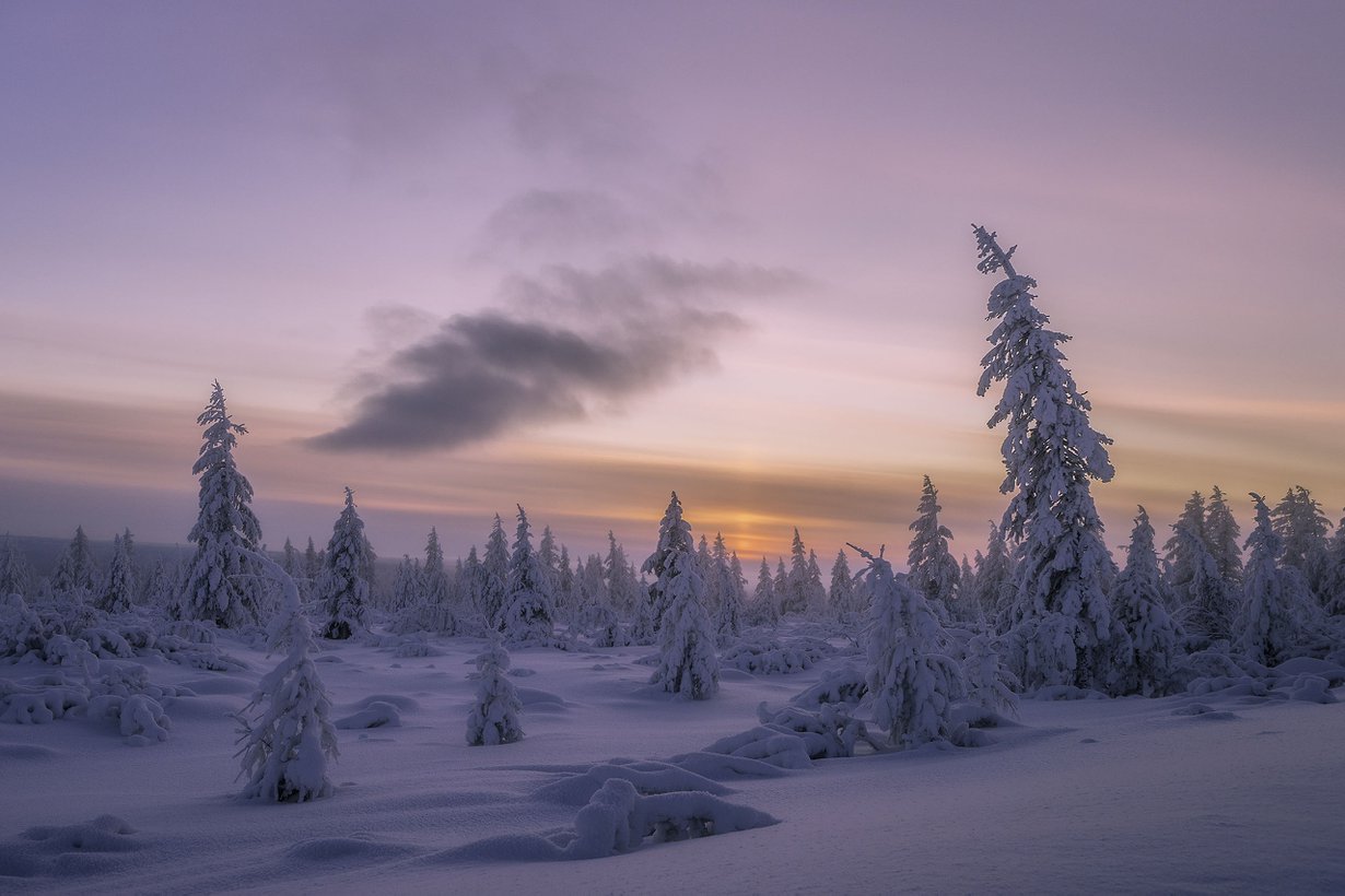 Bakteerien toiminta jatkuu talvellakin. Kuva: Getty Images