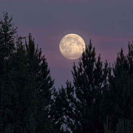 Kuu on ollut paljon nykyistä lähempänä Maata. Kuva: <span class="photographer">Oiva Kainulainen</span>