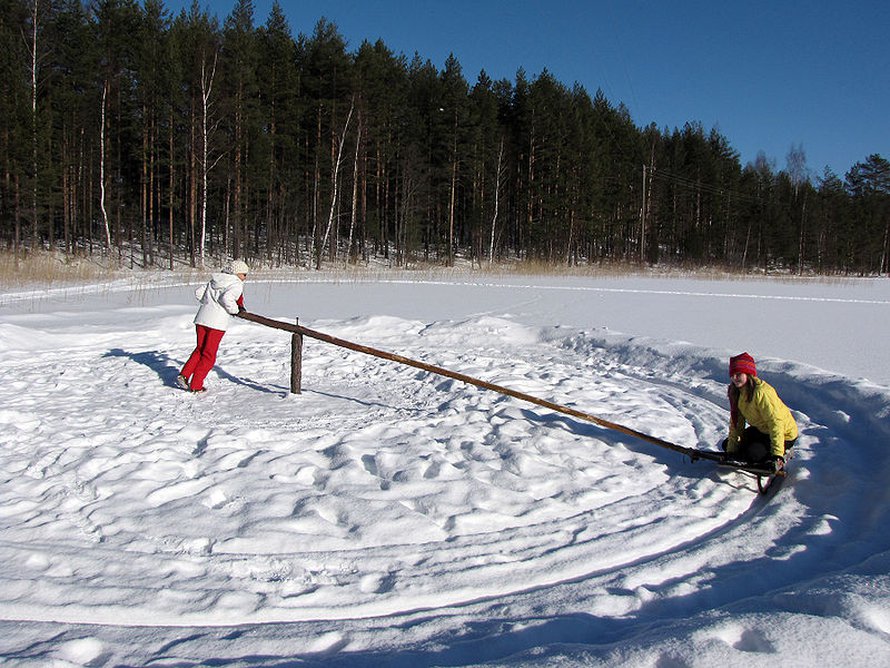 Kuva: <span class="photographer">Petritap / Wikimedia commons</span>