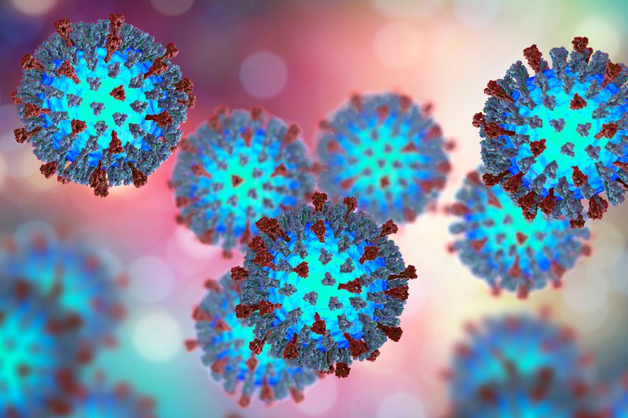 Tuhkarokkovirus leviää tehokkaammin kuin influenssa. Kuva: <span class="photographer">SPL/MVPhotos</span>