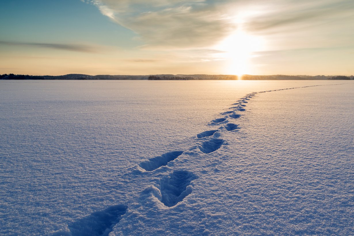 Valo saatiin ennen kirjakieltä. Kuva: uiStock