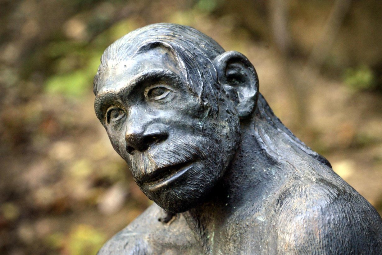 Kuvanveistäjän tulkinta neandertalinihmisestä. Kuva: Juhani Niiranen