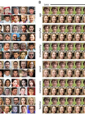 Algoritmi luokitteli tutkittuja kuvia ryhmiin ihmisten arvioiden perustella ja tuotti sitten eri ominaisuuksista uusia malleja. Ulottuvuudet ovat ylhäältä alas ikä, laihuus tai lihavuus, luotettavuus, fiksuus, mieleenpainuvus ja tuttuus. Kuva: <span class="photographer">Pnas</span>