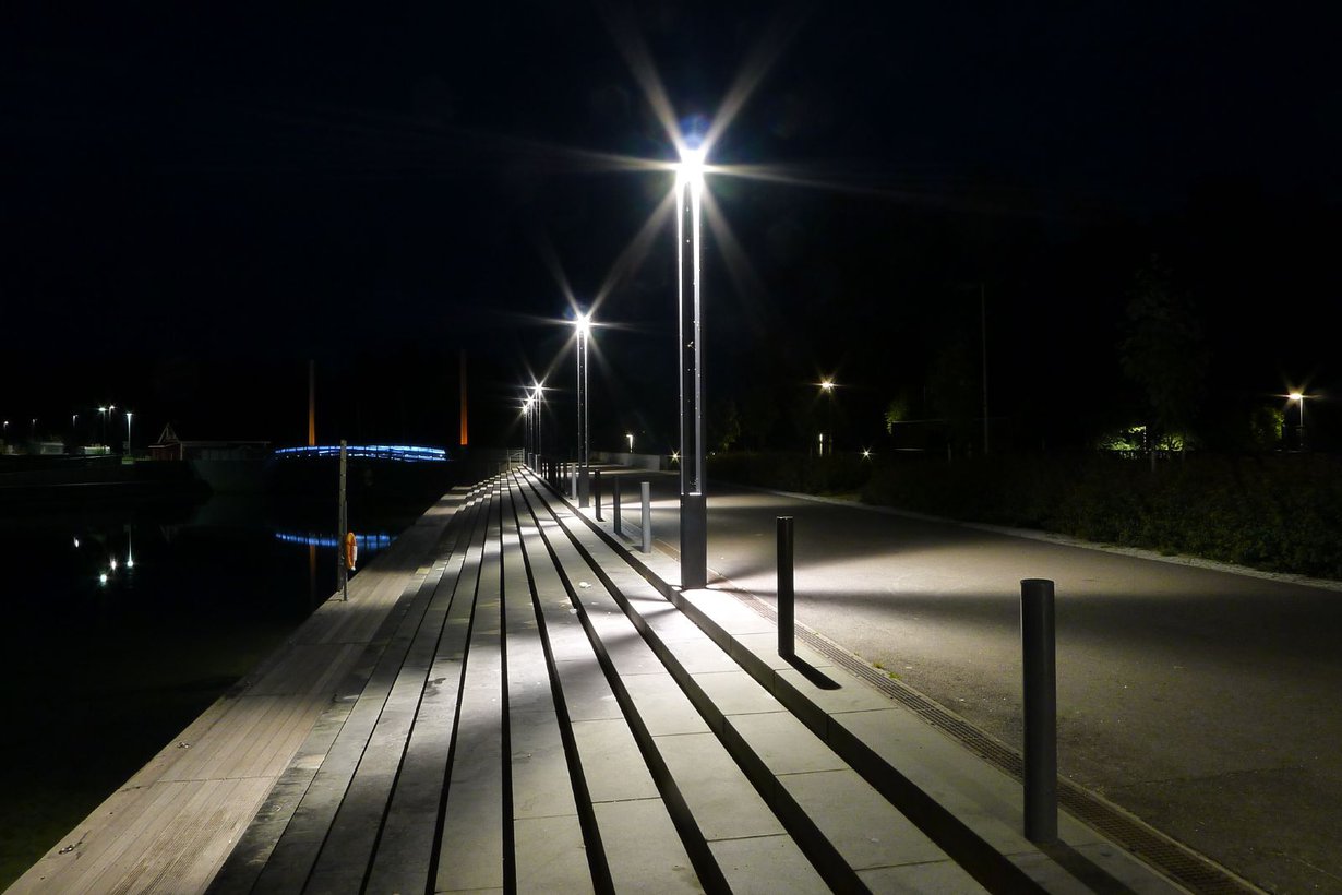 Aamuihmiset ovat jo terveysunilla. Kuva: Timo Newton-Syms, Wikimedia Commons