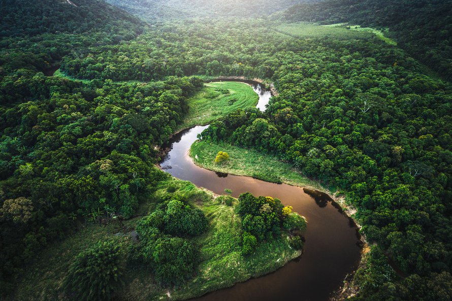 Amazonian ekosysteemi tarvitaan hiilinieluksi. Kuva: <span class="photographer">Getty Images</span>