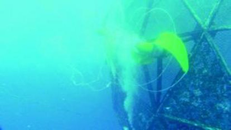 Potkuri työntää kala-altaan tarvittaessa takaisin suunnitellulle reitille. Kuva: <span class="photographer">MIT Sea Grant</span>