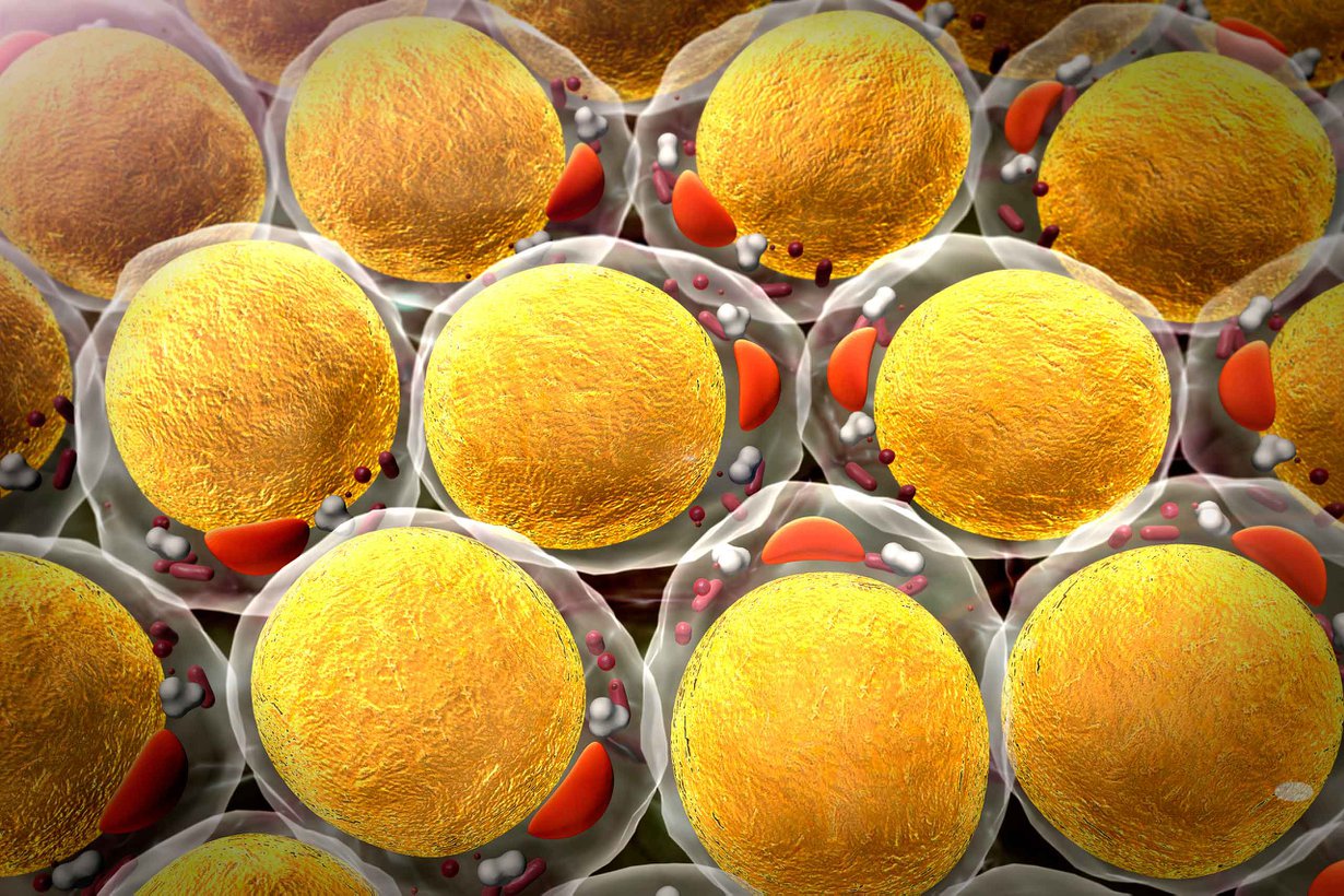 Kuva Shutterstock