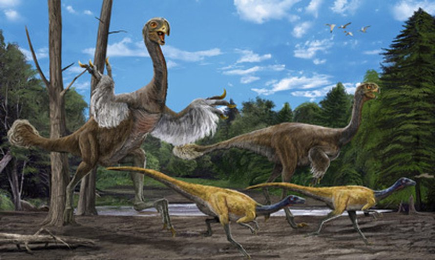 Taitelijan näkemys gigantoraptorista pienten höyhenpeitteisten ornitomimidien seurassa. Kuva: <span class="photographer">Zhao Chuang ja Xing Lida/IVPP</span>
