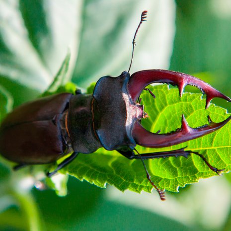 Tämä on minun! Kuva: <span class="photographer">iStock</span>