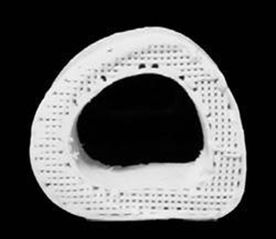 Pala reisiluuta 3d-tulostimella valmistettuna. Kuva: <span class="photographer">Adam Jakus / Northwestern University</span>