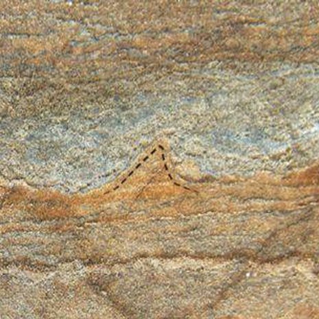 Kartiomaisista stromatoliiteista löytyy merkkejä mikrobien elämästä. Kuva: <span class="photographer">Allen Nutman/Nature</span>