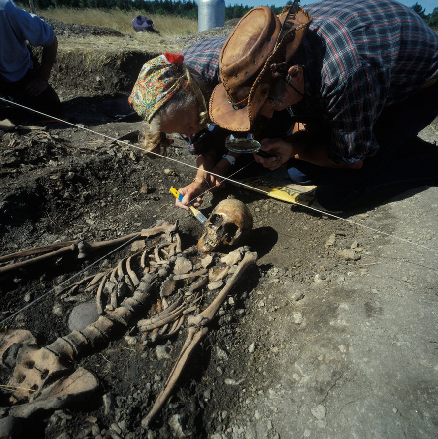 Gotlannista kaivetut kivikautiset luurangot tarkentavat maanviljelyn historiaa.