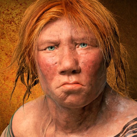 Melkein apinaksi tulkittu neandertalinihminen on osoittautunut älykkääksi sisarlajiksi. Kuva: <span class="photographer">Alamy / MVPhotos</span>