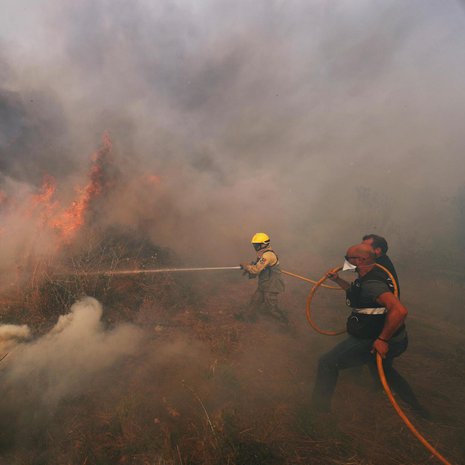 Portugalissa raivosi kesällä lukuisia metsäpaloja. Kuva: <span class="photographer">REUTERS/Rafael Marchante</span>