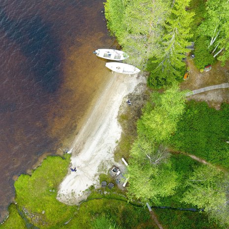 Monien järviemme vesi on luonnostaan ruskeanpuhuvaa, mutta viime vuosina väri on syventynyt ja yleistynyt. Kuva: <span class="photographer">Vesa Moilanen/Sanoma-arkisto</span>