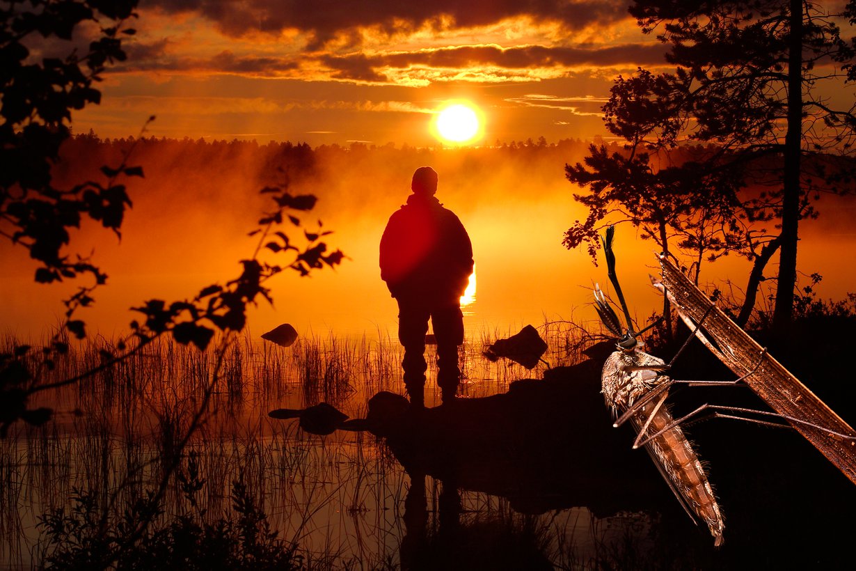 Kesän kiusanhenget ottavat kaiken irti hyvistä sikiämismahdollisuuksista. Kuva: Shutterstock