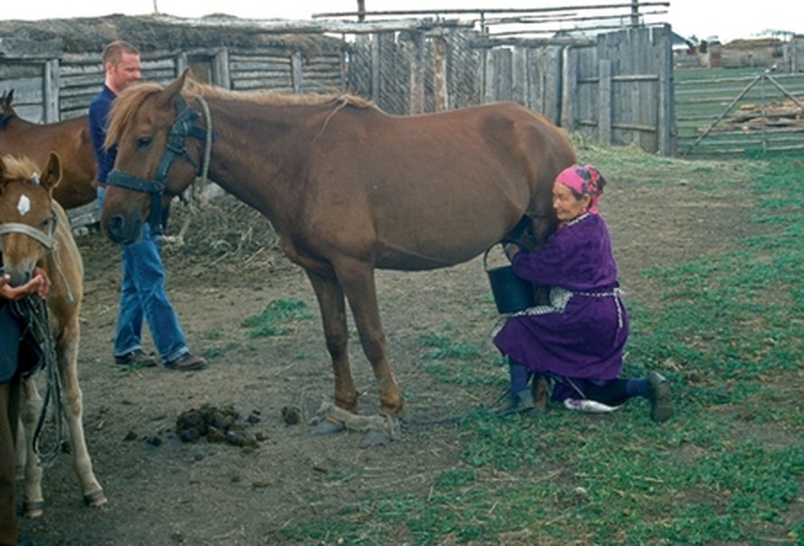 Tamma lypsyllä Kazakstanilaisessa kylässä. Kuva: <span class="photographer">Alan Outram</span>