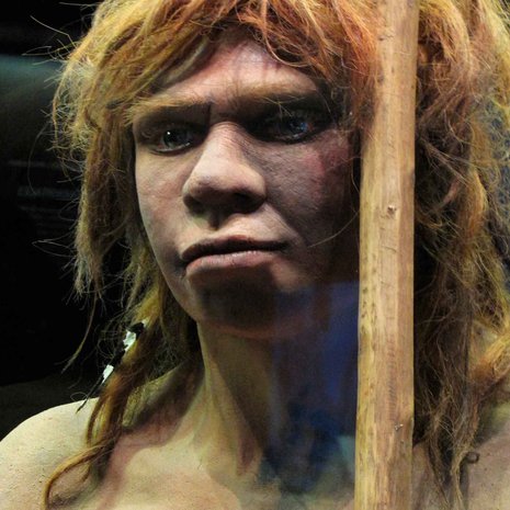 Neandertaleihin mieltyneet nykyihmiset tekivät palveluksen kaikille meille. Kuva: <span class="photographer">Getty Images</span>