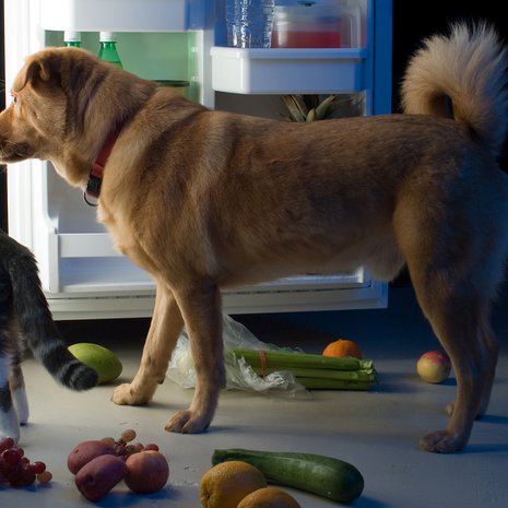 Missä meidän murkinat? Kuva: <span class="photographer">Getty Images</span>
