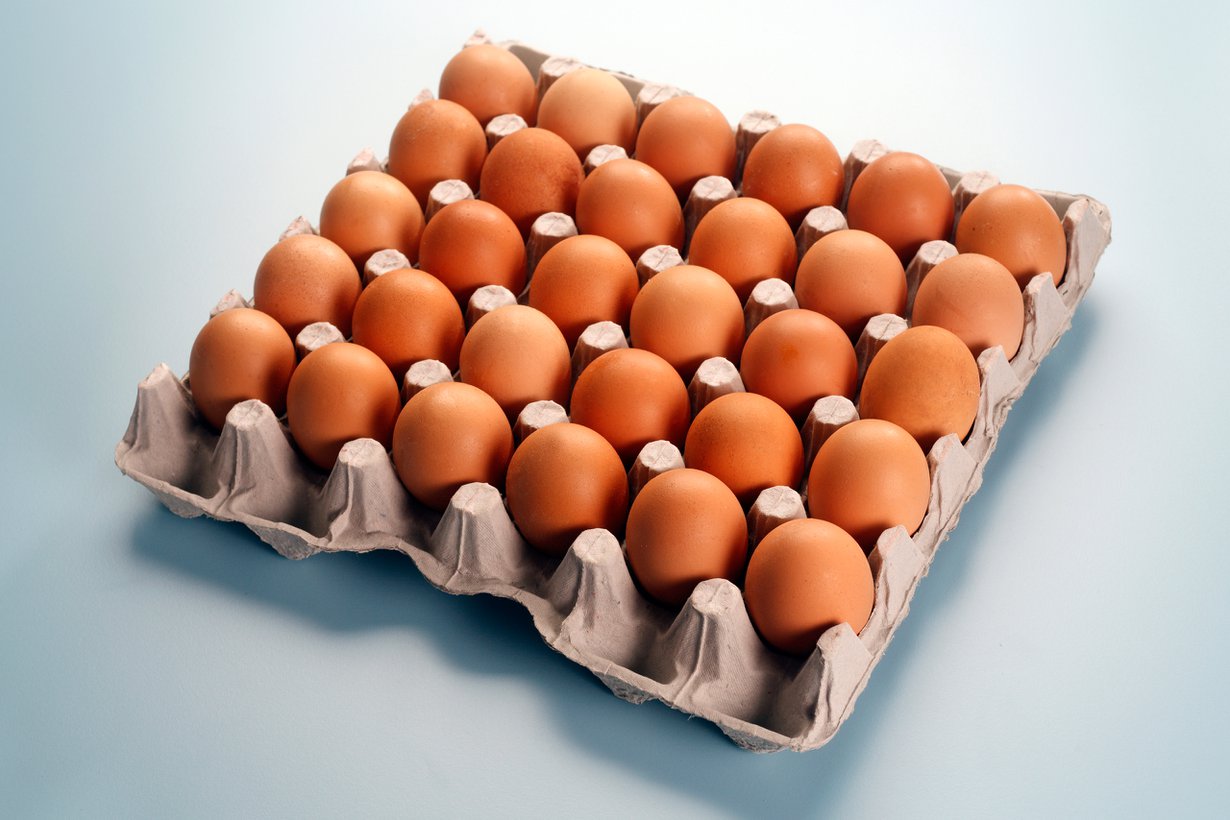 Oikea pää varjelee keltuaista. Kuva: Shutterstock