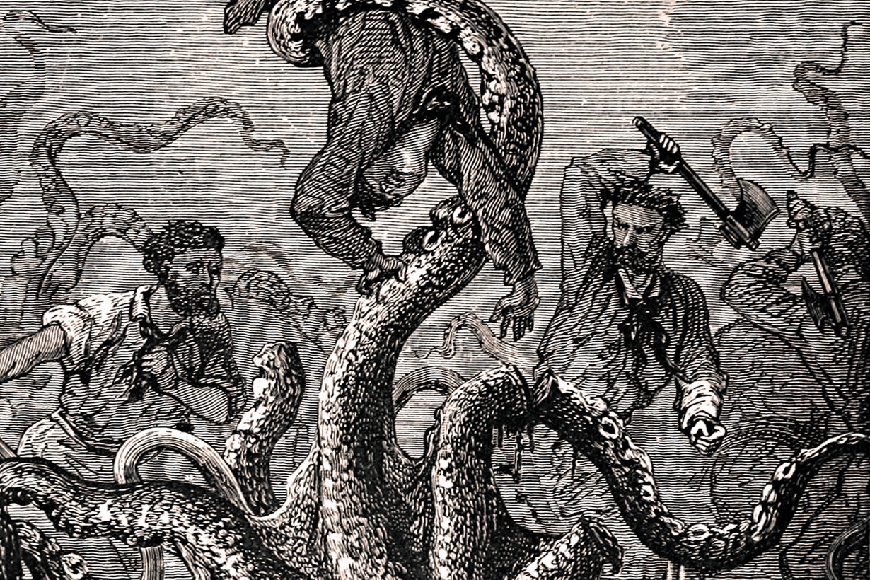 Jättiläiskalmari sai esittää kartoissa merihirviötä. Kuva: Wikimedia Commons