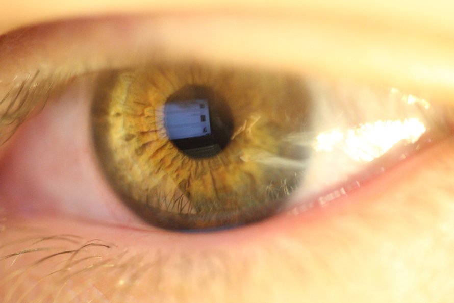 http://commons.wikimedia.org/wiki/File:Anthony%27s_Green_Brown_Iris.jpg