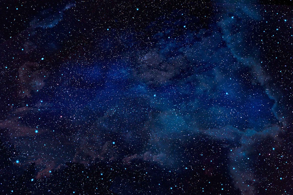 Kuva: Shutterstock