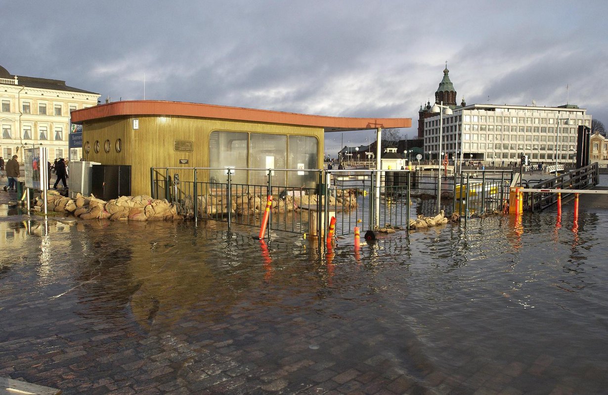 Myrsky nosti veden Helsingin Kauppatorille 2005. Kuva: Harri Vaskimo