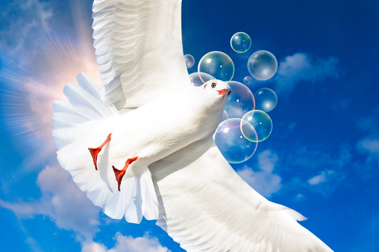 Luut suojaavat siivekästä. Kuva: Shutterstock
