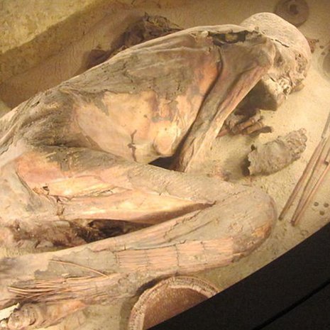 Tämä muumio löytyy Torinon egpytiläisestä museosta. Kuva: <span class="photographer">Dr Stephen Buckley, University of York</span>