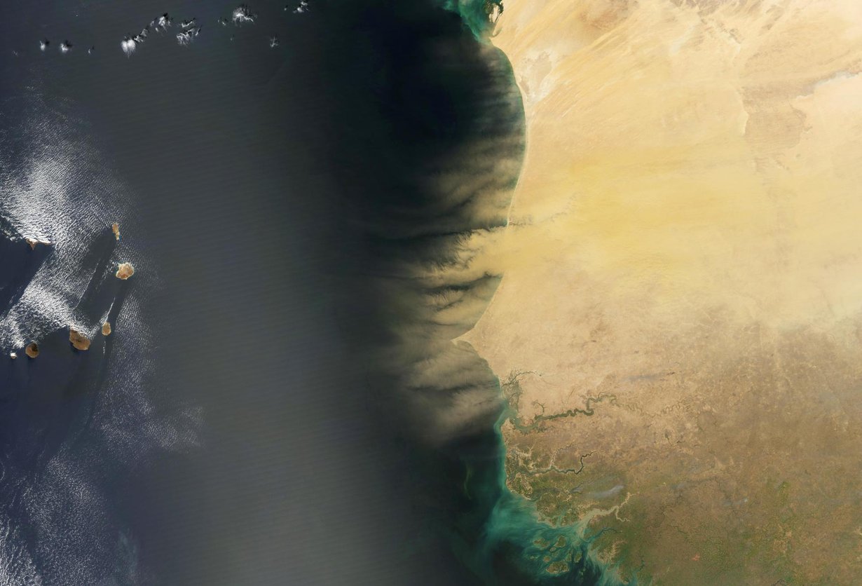 Satelliittikuvassa Senegalista, Mauritaniasta ja Gambiasta nousi valtava määrä pölyä vuonna 2015. Kuva: Nasa