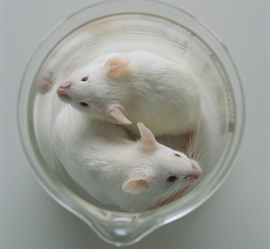 Kuva: <span class="photographer">Corbis RF</span>