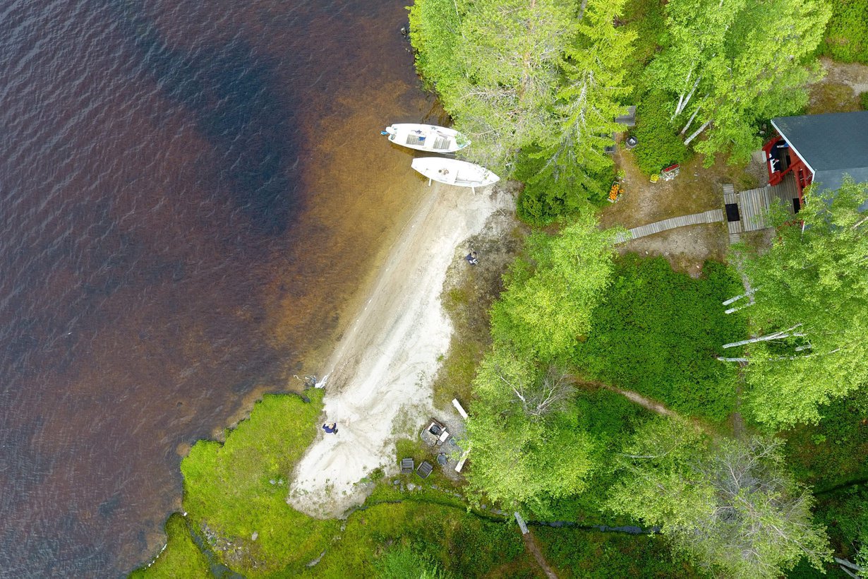 Monien järviemme vesi on luonnostaan ruskeanpuhuvaa, mutta viime vuosina väri on syventynyt ja yleistynyt. Kuva: Vesa Moilanen/Sanoma-arkisto